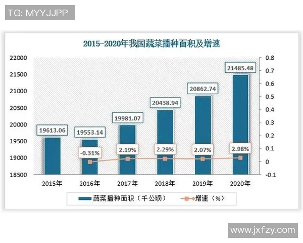 数据分析视角下液化天然气市场意识与趋势的深度探讨