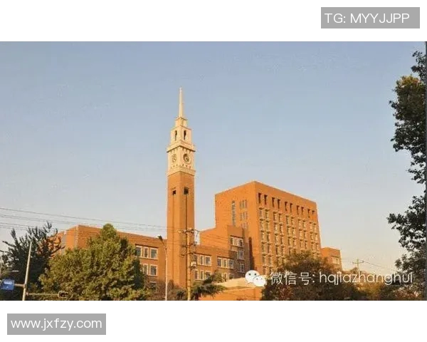 独家解析西安排球队比赛经验的差异与影响分析 独家解析西安排球队比赛经验的差异与影响分析